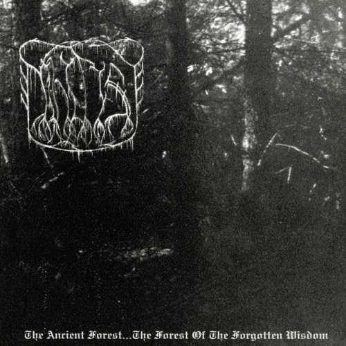 The True Nihilist : The Ancient Forest... the Forest of the Forgotten Wisdom